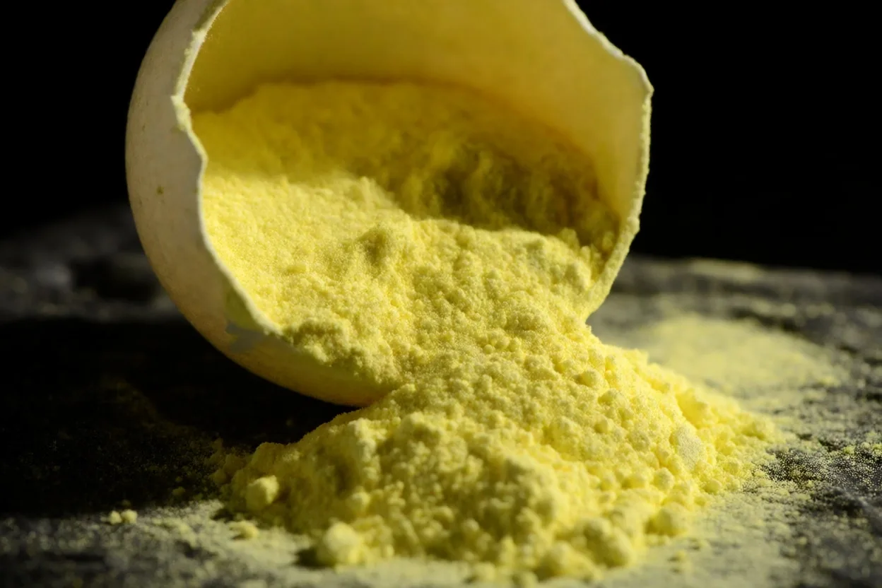 A supplement capsule split open showing its powder interior